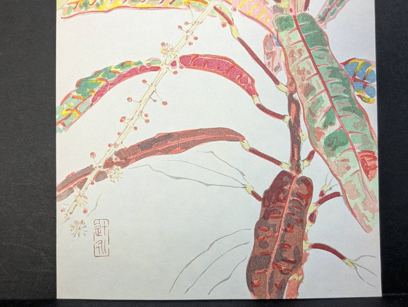 Japanese Woodblock Print by Tsuji Ei Titled 1969 Kuroton - 4