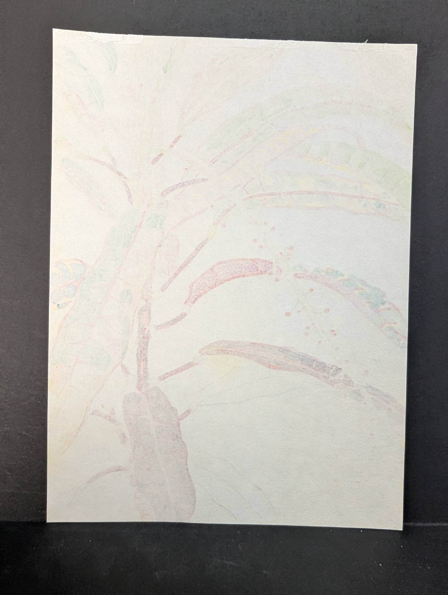 Japanese Woodblock Print by Tsuji Ei Titled 1969 Kuroton - 5