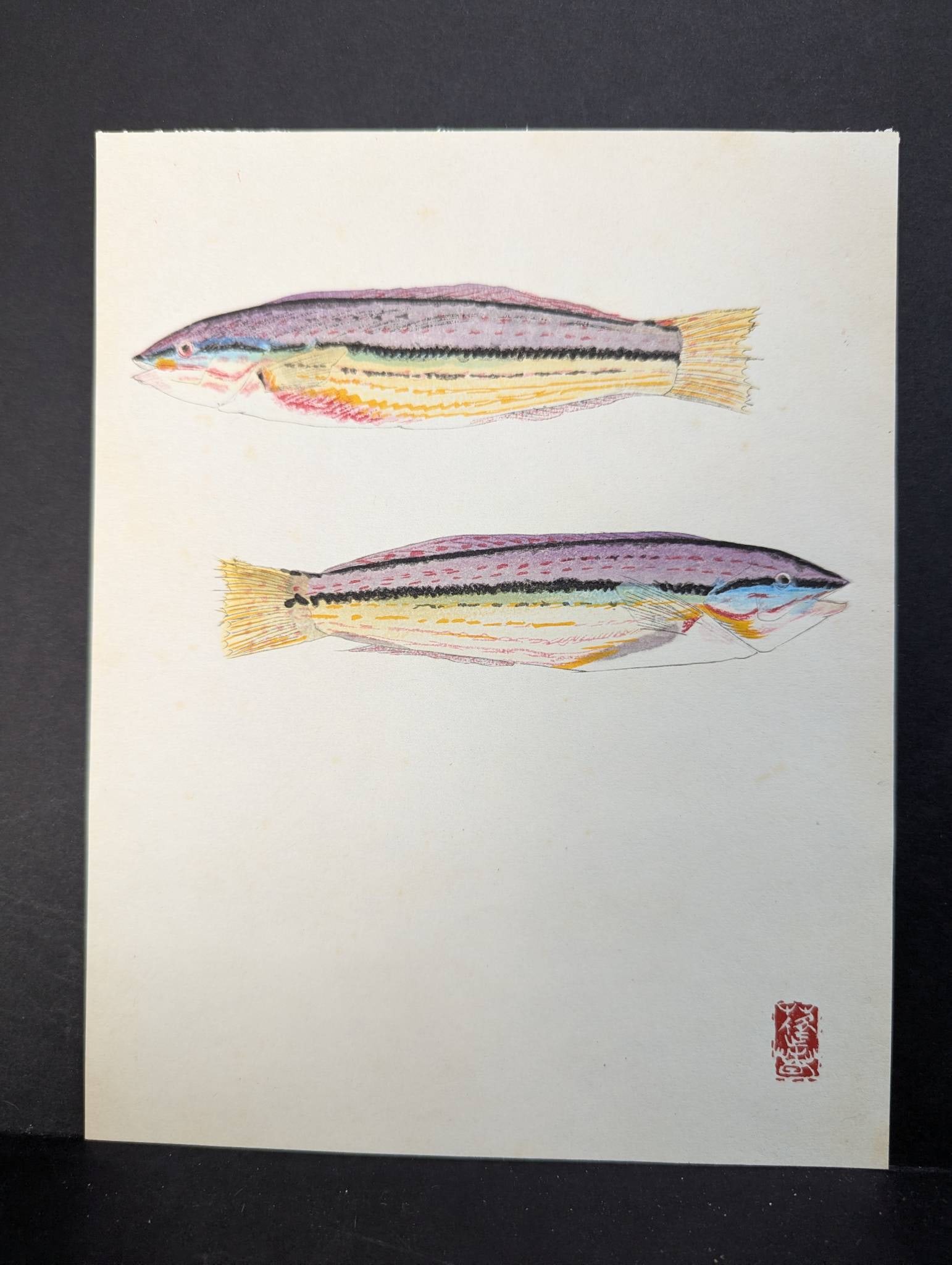 Japanese Woodblock Print by Yamaguchi Hoshun Depicting Two Fish: **Important** Please read below description on how to avoid high shipping costs. Japanese woodblock print by Yamaguchi Hoshun titled Bela, dated 1969, featuring two vibrantly colored fish rendered