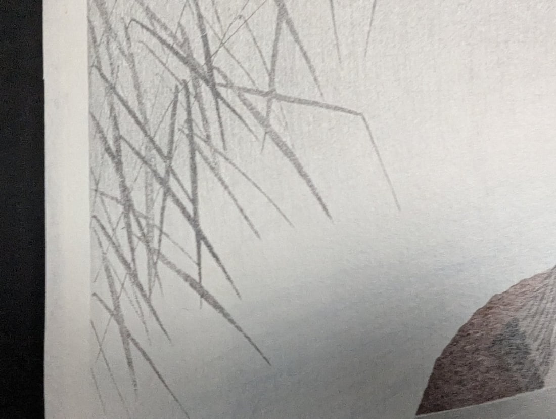 Komori Soseki 'Two Mallard Ducks' Japanese Woodblock Print - 4