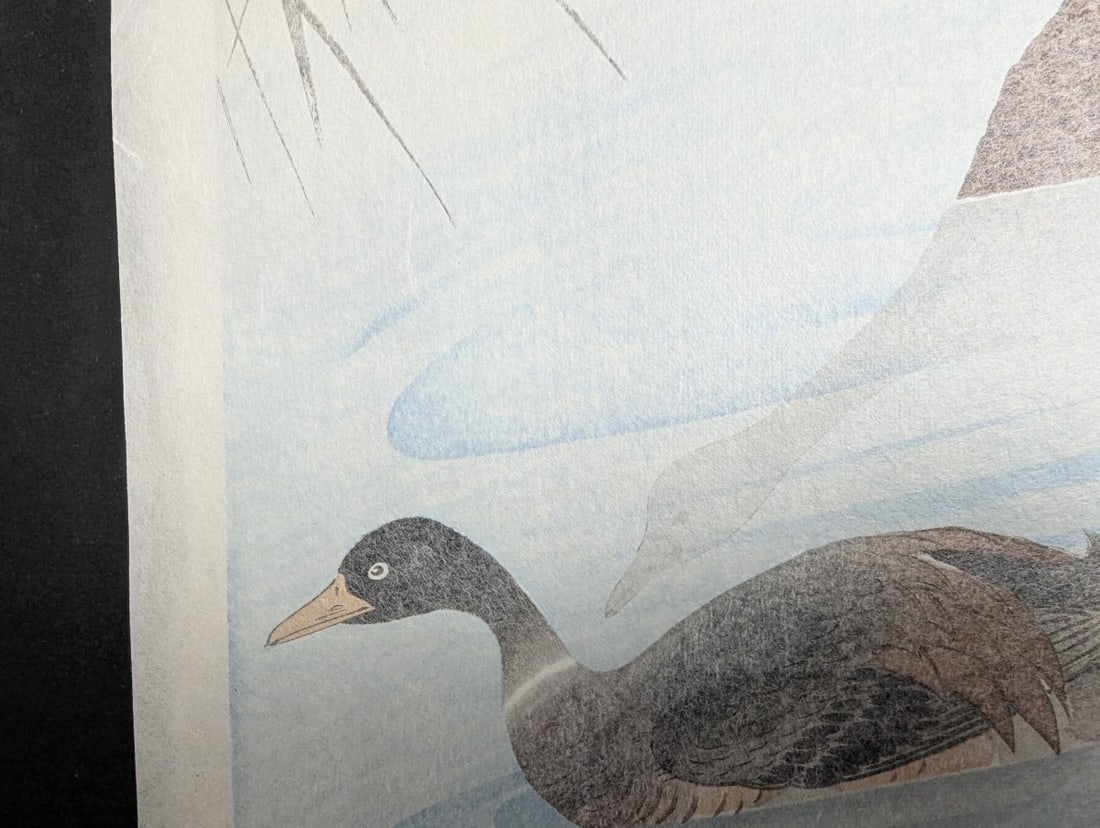 Komori Soseki 'Two Mallard Ducks' Japanese Woodblock Print - 6