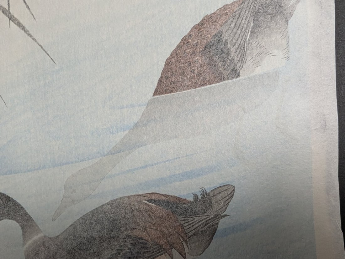 Komori Soseki 'Two Mallard Ducks' Japanese Woodblock Print - 7