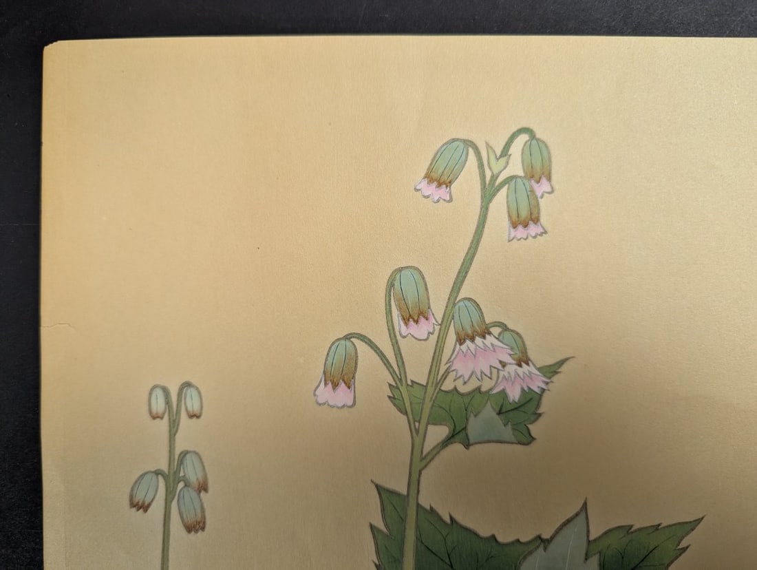 Japanese Woodblock Print by Nishinomiya Yosaku Ladybells and Pinks Vintage Art - 2