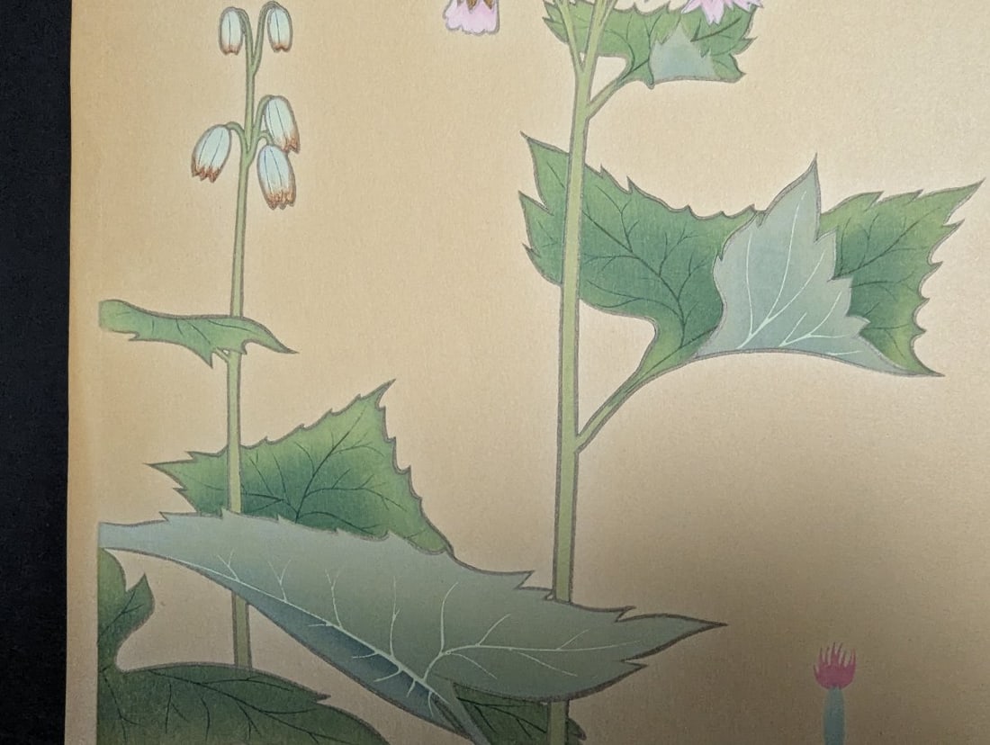 Japanese Woodblock Print by Nishinomiya Yosaku Ladybells and Pinks Vintage Art - 4