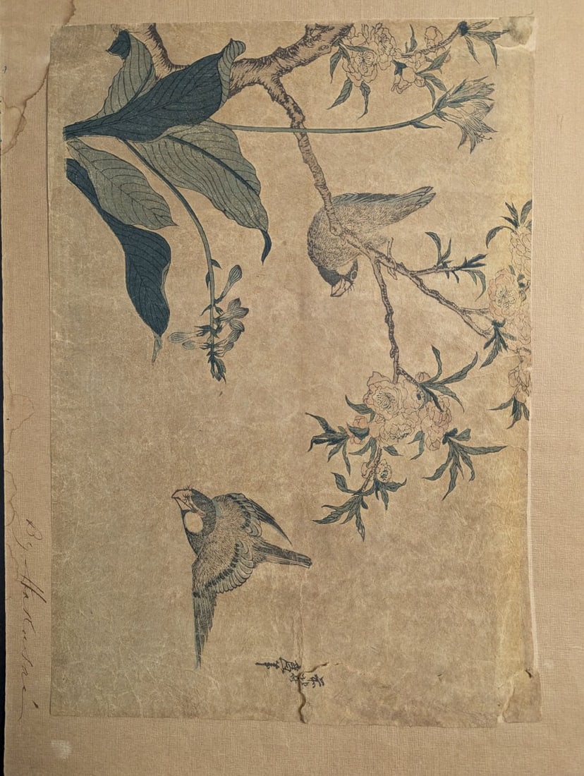 Reproduction of Katsushika Hokusai's 'Bullfinch and Weeping Cherry' Japanese Woodblock Print - 2