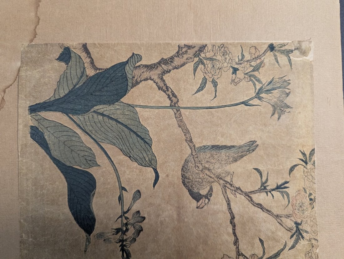 Reproduction of Katsushika Hokusai's 'Bullfinch and Weeping Cherry' Japanese Woodblock Print - 3