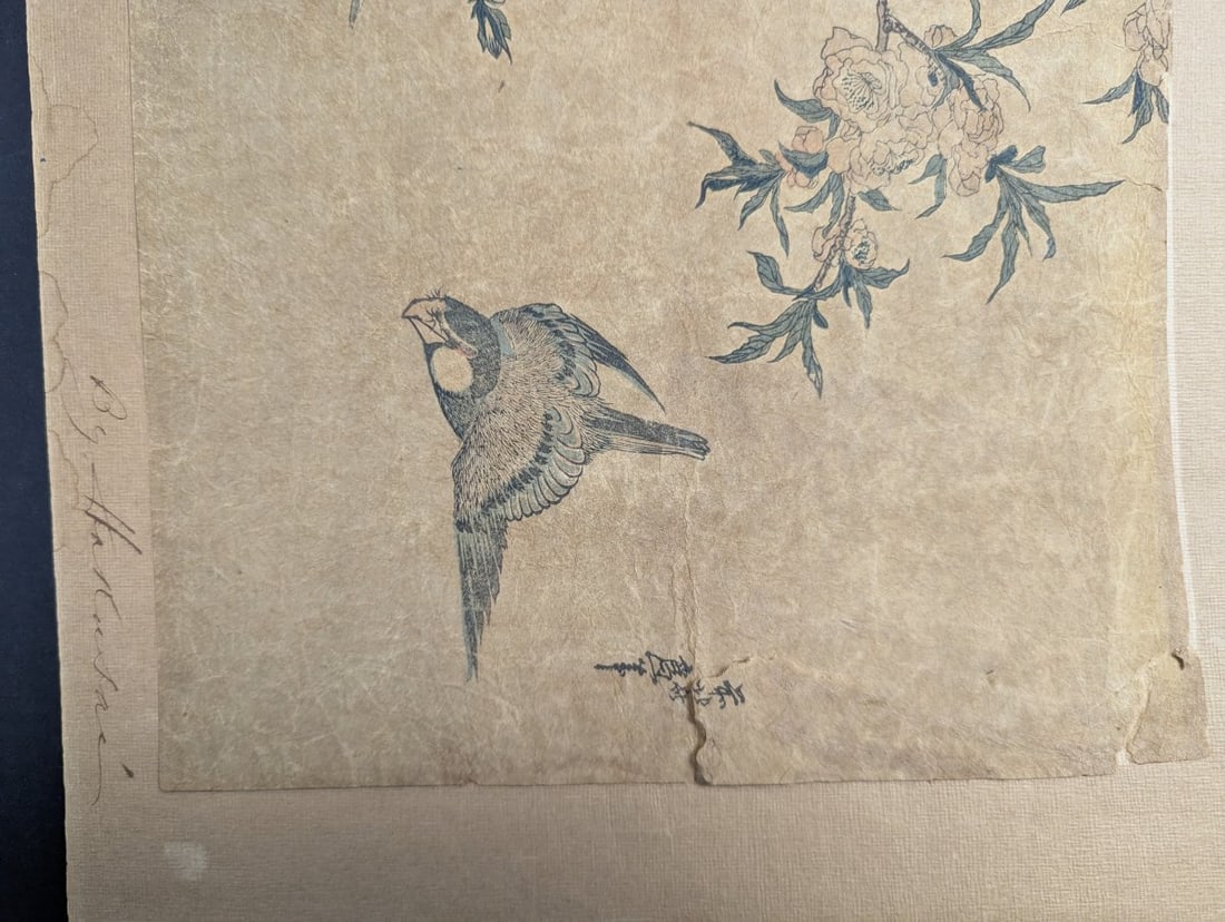 Reproduction of Katsushika Hokusai's 'Bullfinch and Weeping Cherry' Japanese Woodblock Print - 5