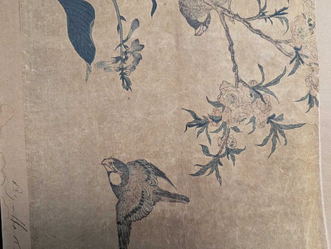 Reproduction of Katsushika Hokusai's 'Bullfinch and Weeping Cherry' Japanese Woodblock Print - 6