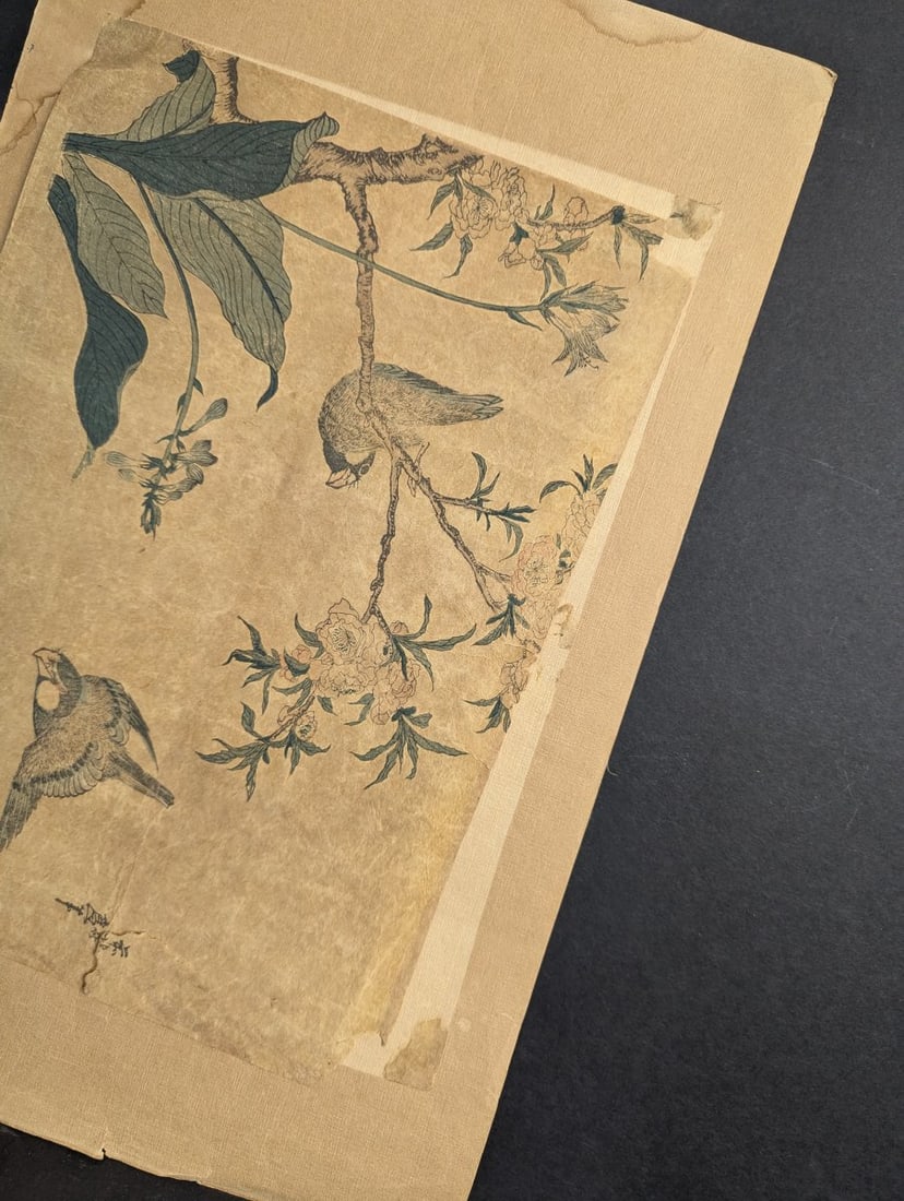 Reproduction of Katsushika Hokusai's 'Bullfinch and Weeping Cherry' Japanese Woodblock Print - 7
