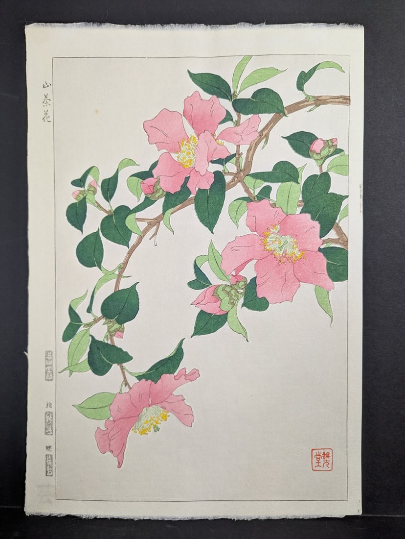 Nishimura Hodo Japanese Woodblock Print Sasanqua Camellia Stunning Artistry: **Important** Please read below description on how to avoid high shipping costs. Presenting a magnificent Japanese woodblock print by the renowned artist Nishimura Hodo, titled 'Sasanqua Camellia'.
