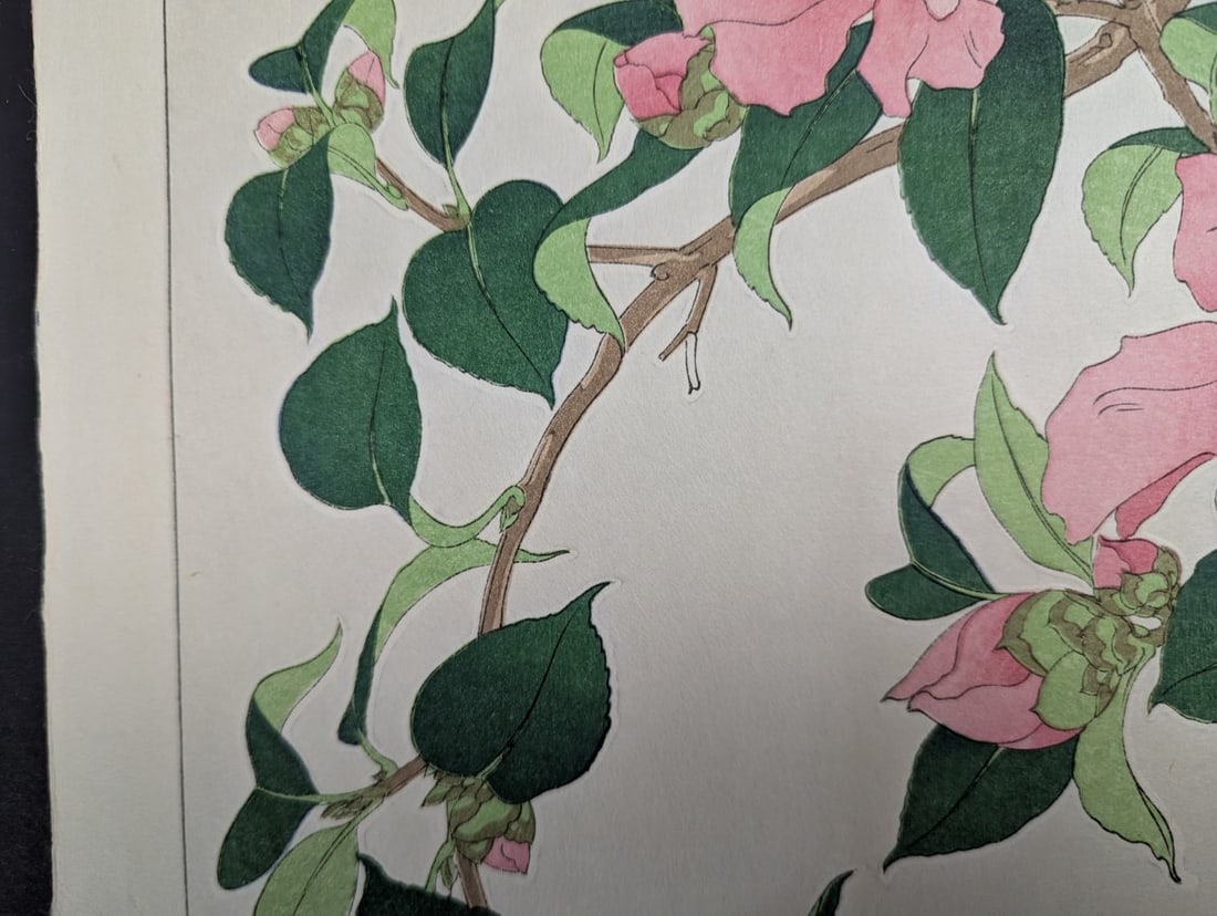 Nishimura Hodo Japanese Woodblock Print Sasanqua Camellia Stunning Artistry - 2