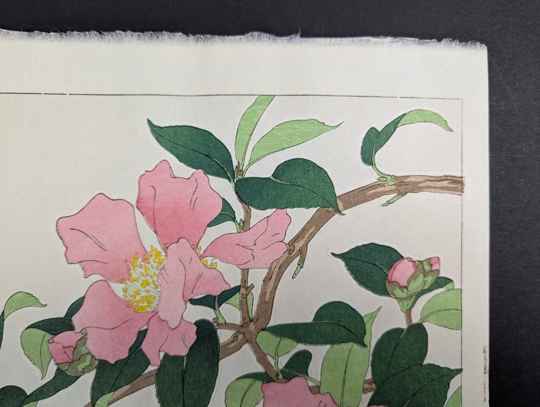 Nishimura Hodo Japanese Woodblock Print Sasanqua Camellia Stunning Artistry - 3