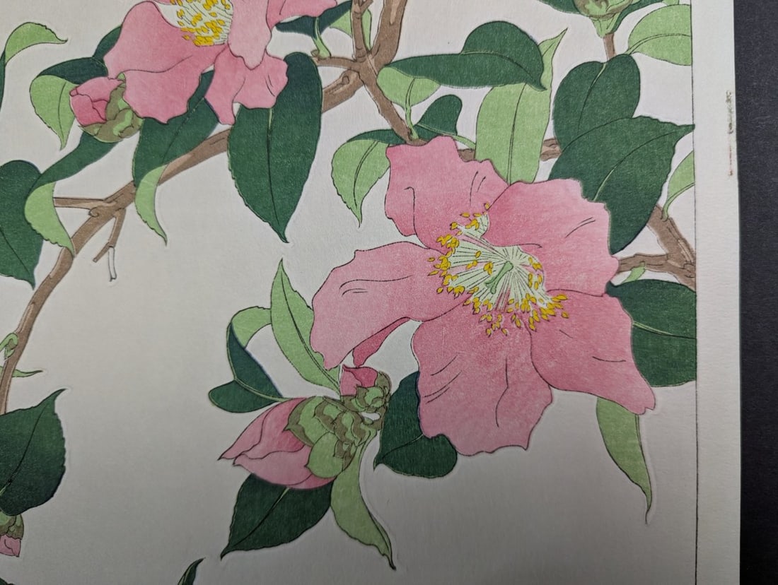 Nishimura Hodo Japanese Woodblock Print Sasanqua Camellia Stunning Artistry - 4