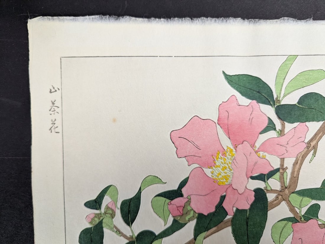 Nishimura Hodo Japanese Woodblock Print Sasanqua Camellia Stunning Artistry - 5
