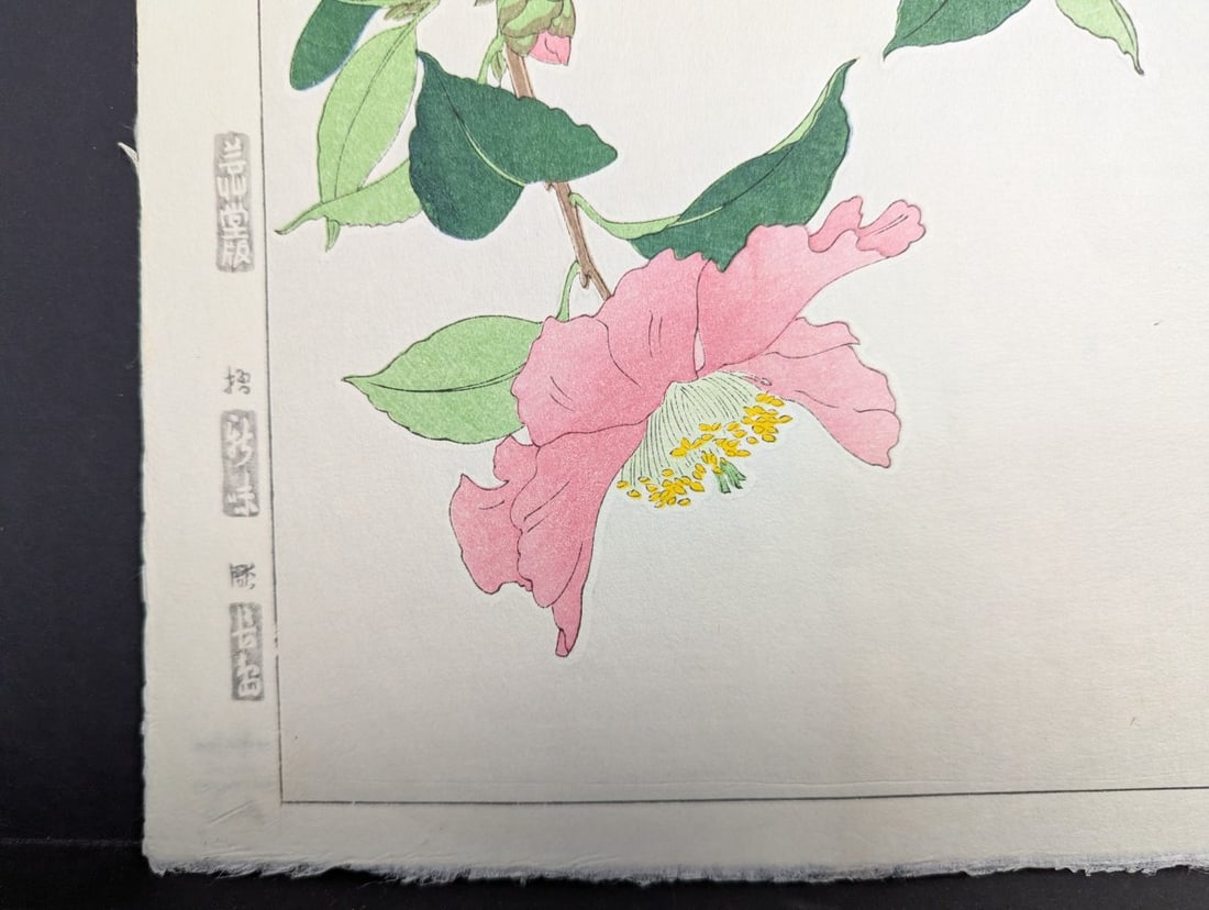 Nishimura Hodo Japanese Woodblock Print Sasanqua Camellia Stunning Artistry - 6