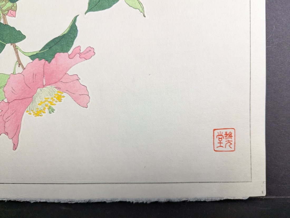 Nishimura Hodo Japanese Woodblock Print Sasanqua Camellia Stunning Artistry - 7