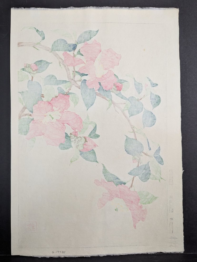 Nishimura Hodo Japanese Woodblock Print Sasanqua Camellia Stunning Artistry - 8