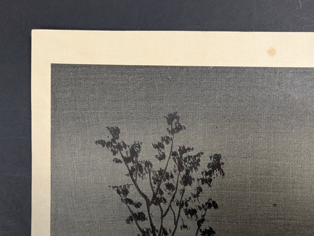 Japanese Woodblock Print Night at Shinobazu Pond by Kobayashi Kiyochika - 2