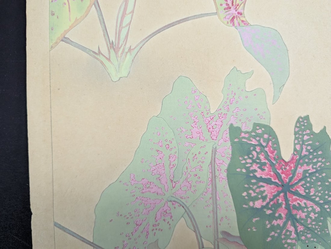 Rakuzan Tsuchiya Caladium Japanese Woodblock Print - 3