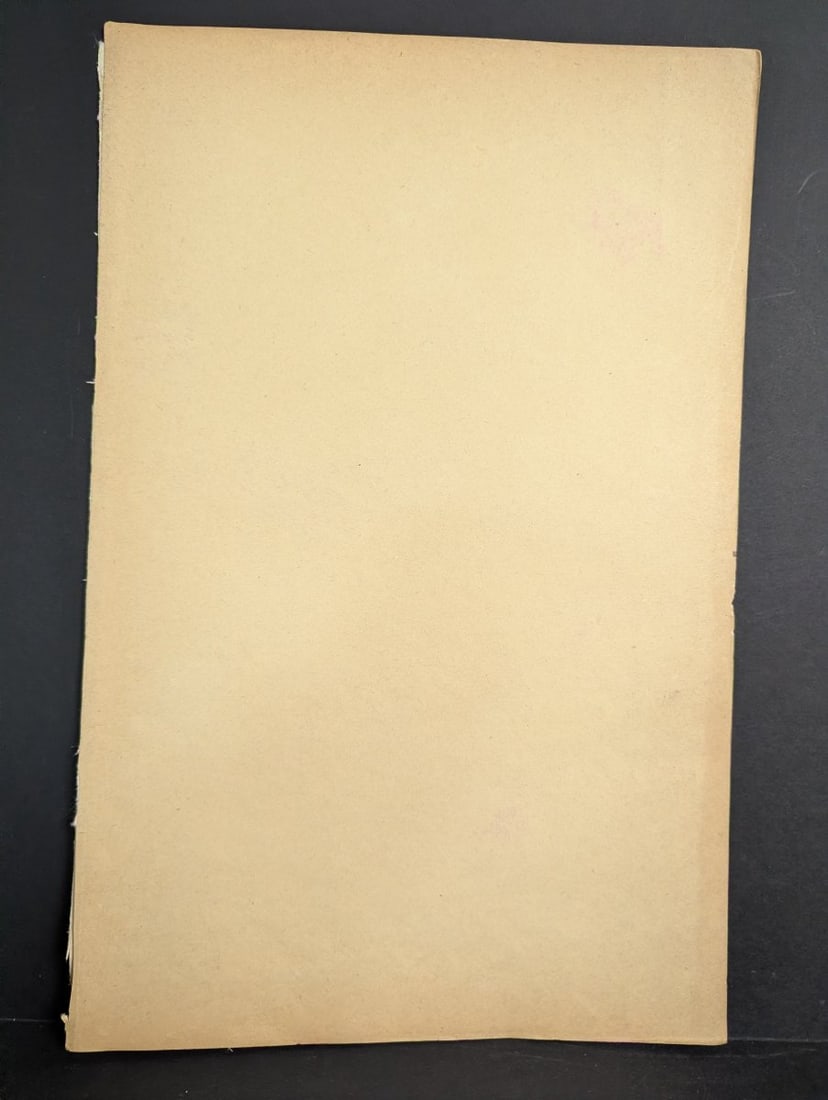 Rakuzan Tsuchiya Caladium Japanese Woodblock Print - 6