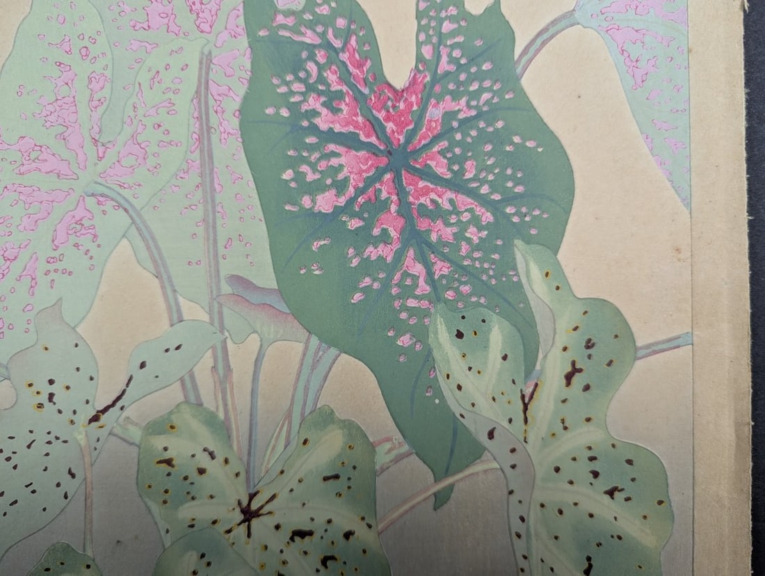 Rakuzan Tsuchiya Caladium Japanese Woodblock Print - 9