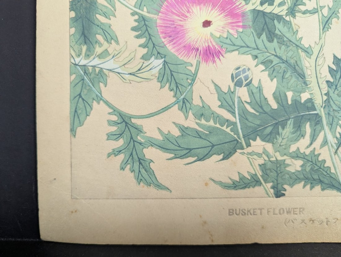 Japanese Woodblock Print by Rakuzan Tsuchiya - Basket Flower Artwork - 10
