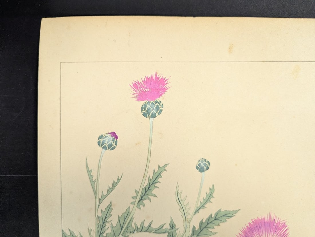 Japanese Woodblock Print by Rakuzan Tsuchiya - Basket Flower Artwork - 2