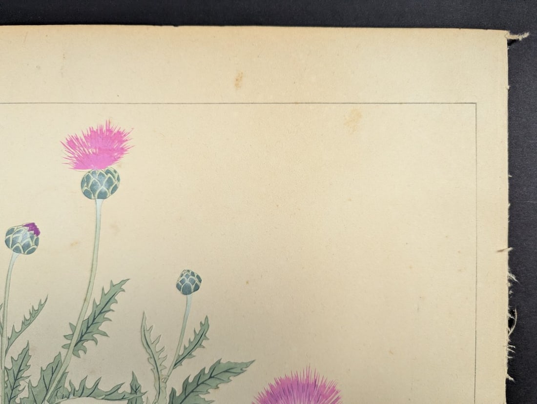 Japanese Woodblock Print by Rakuzan Tsuchiya - Basket Flower Artwork - 3