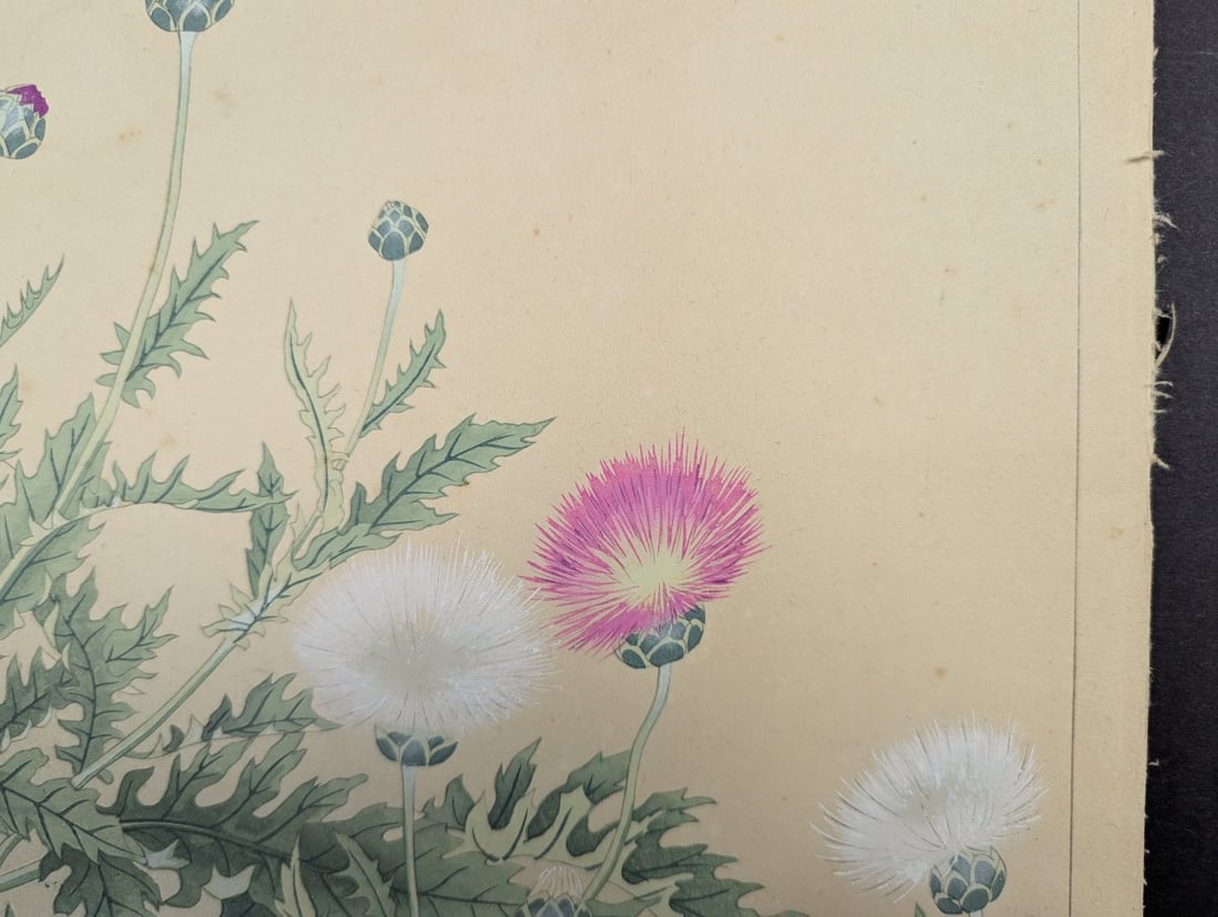 Japanese Woodblock Print by Rakuzan Tsuchiya - Basket Flower Artwork - 4