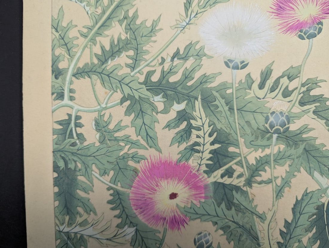 Japanese Woodblock Print by Rakuzan Tsuchiya - Basket Flower Artwork - 6