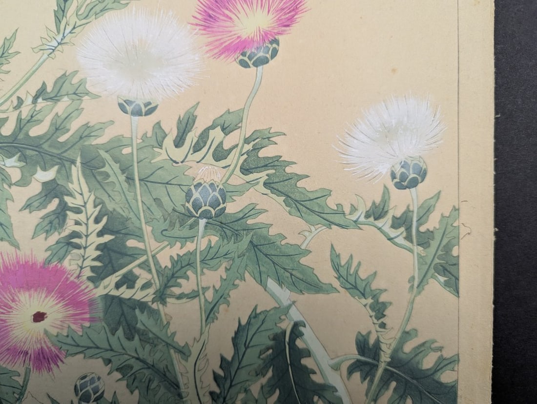 Japanese Woodblock Print by Rakuzan Tsuchiya - Basket Flower Artwork - 7