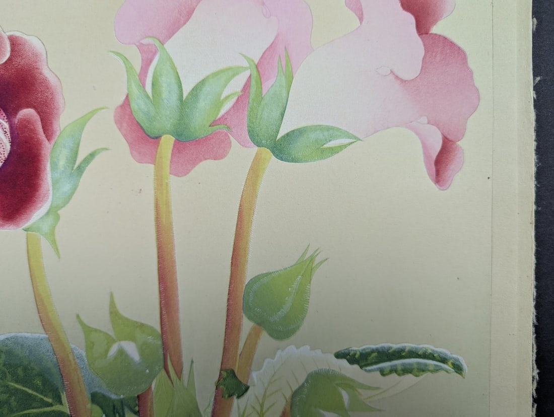 Rakuzan Tsuchiya Japanese Woodblock Print Gloxinia Art Floral Decoration - 2