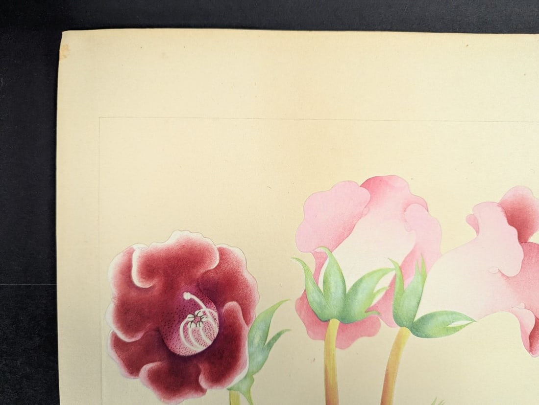 Rakuzan Tsuchiya Japanese Woodblock Print Gloxinia Art Floral Decoration - 3