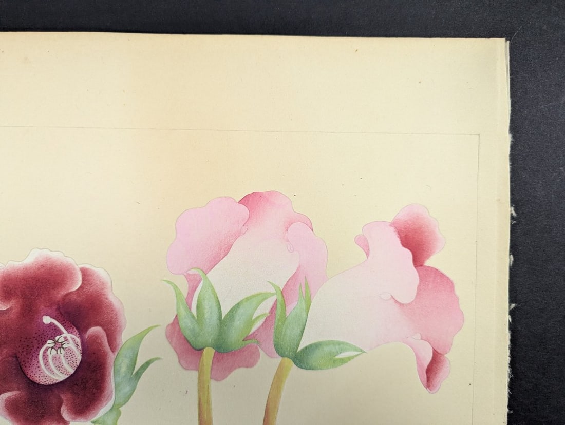 Rakuzan Tsuchiya Japanese Woodblock Print Gloxinia Art Floral Decoration - 5