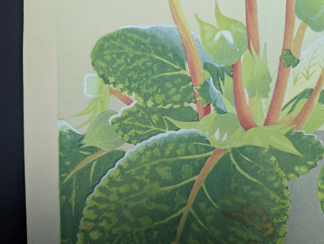 Rakuzan Tsuchiya Japanese Woodblock Print Gloxinia Art Floral Decoration - 7