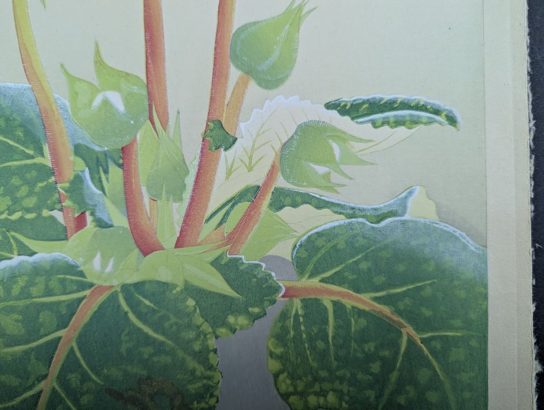 Rakuzan Tsuchiya Japanese Woodblock Print Gloxinia Art Floral Decoration - 8