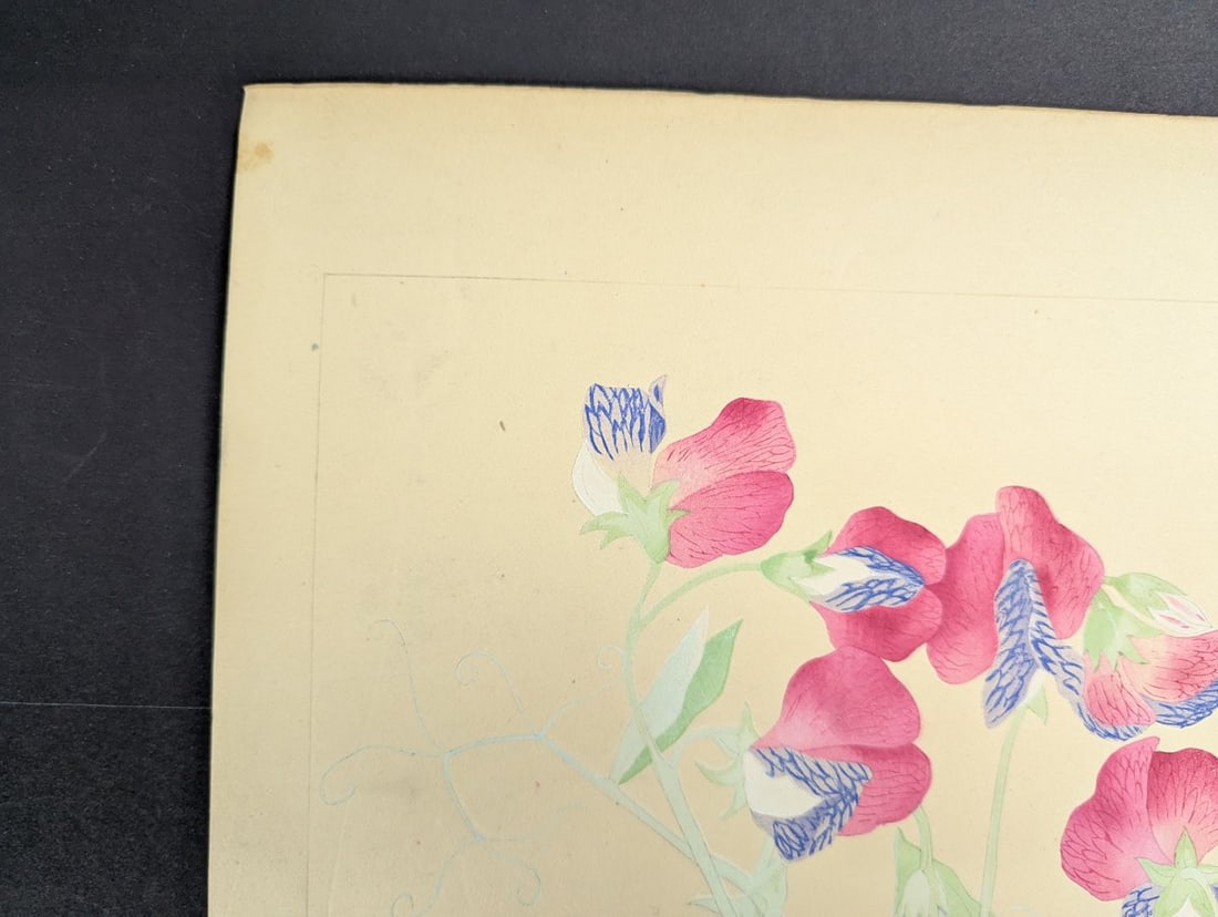 Japanese Woodblock Print by Rakuzan KachÅ Sweet Pea Flower Artwork - 5