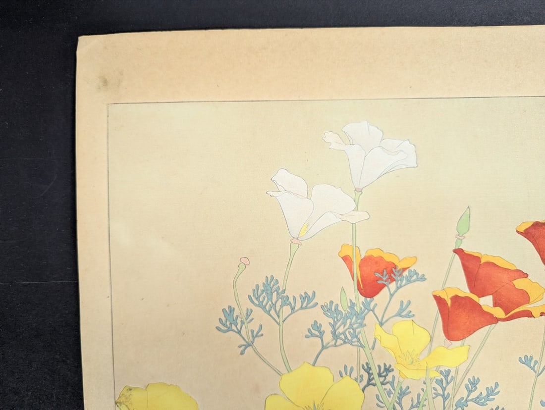 Rakuzan Tsuchiya Japanese Woodblock Print California Poppy Floral Art - 2