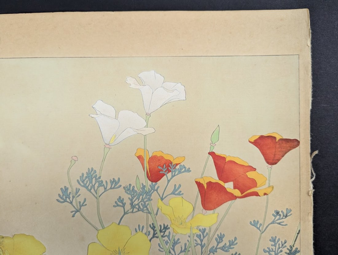 Rakuzan Tsuchiya Japanese Woodblock Print California Poppy Floral Art - 3
