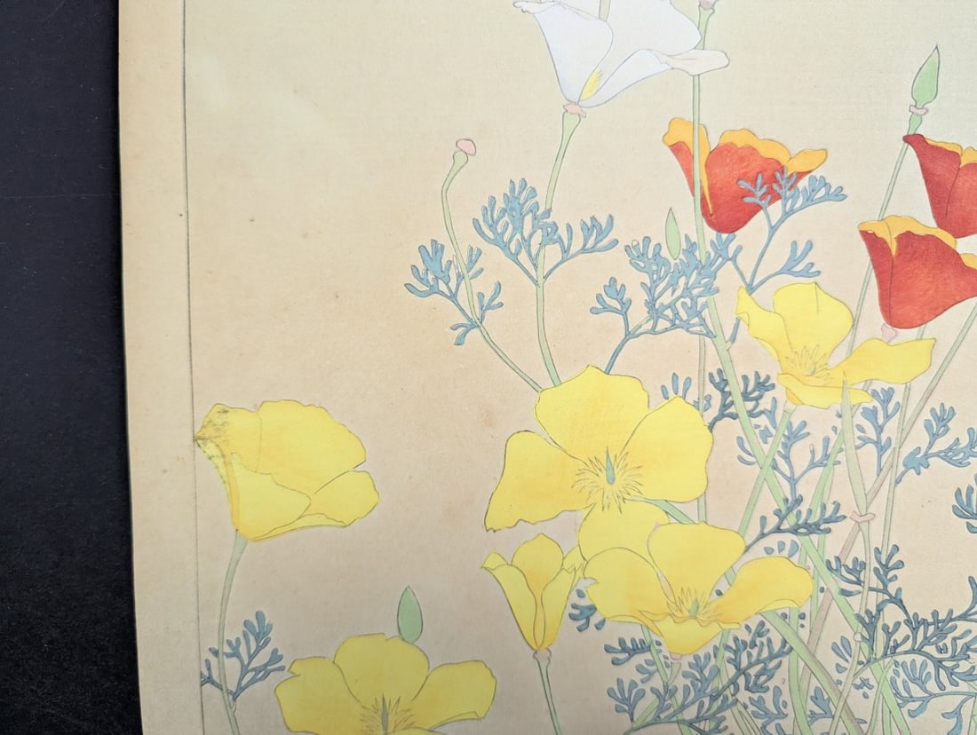 Rakuzan Tsuchiya Japanese Woodblock Print California Poppy Floral Art - 4