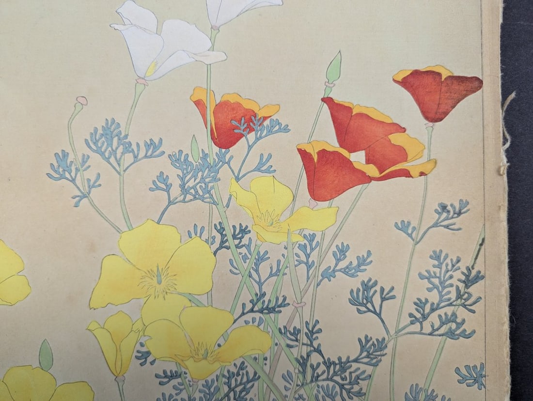 Rakuzan Tsuchiya Japanese Woodblock Print California Poppy Floral Art - 5