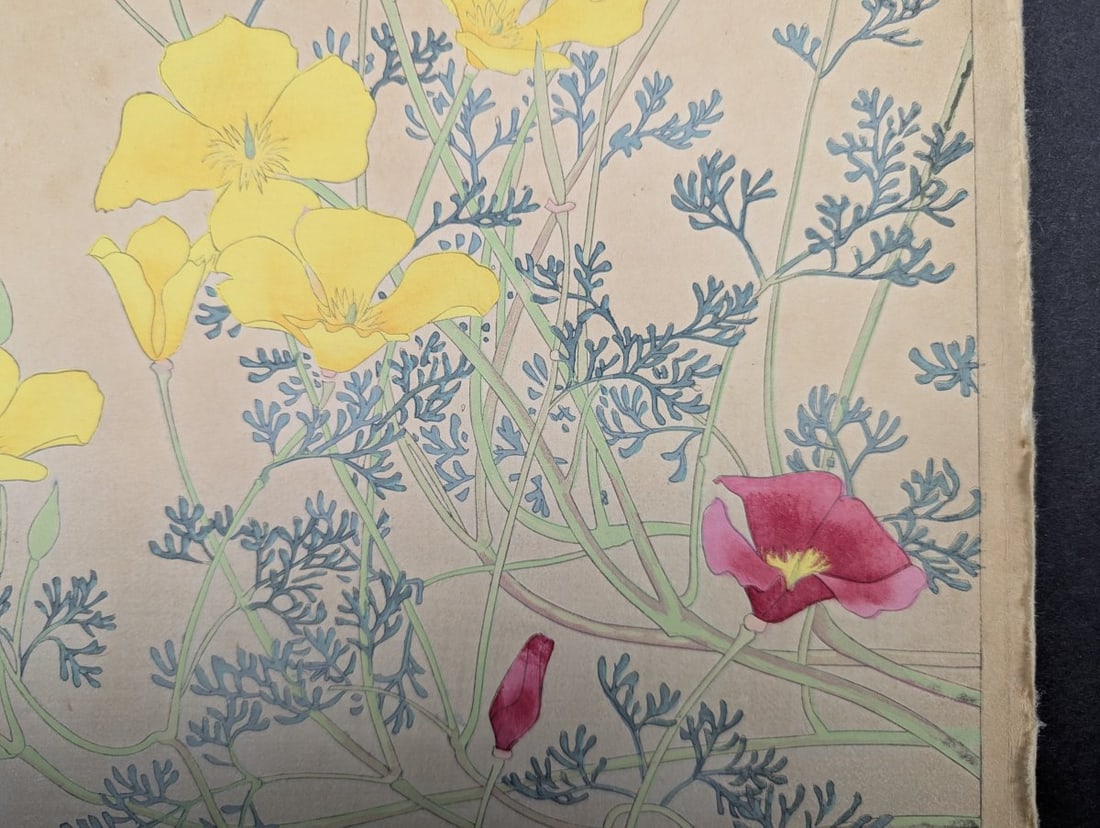 Rakuzan Tsuchiya Japanese Woodblock Print California Poppy Floral Art - 8