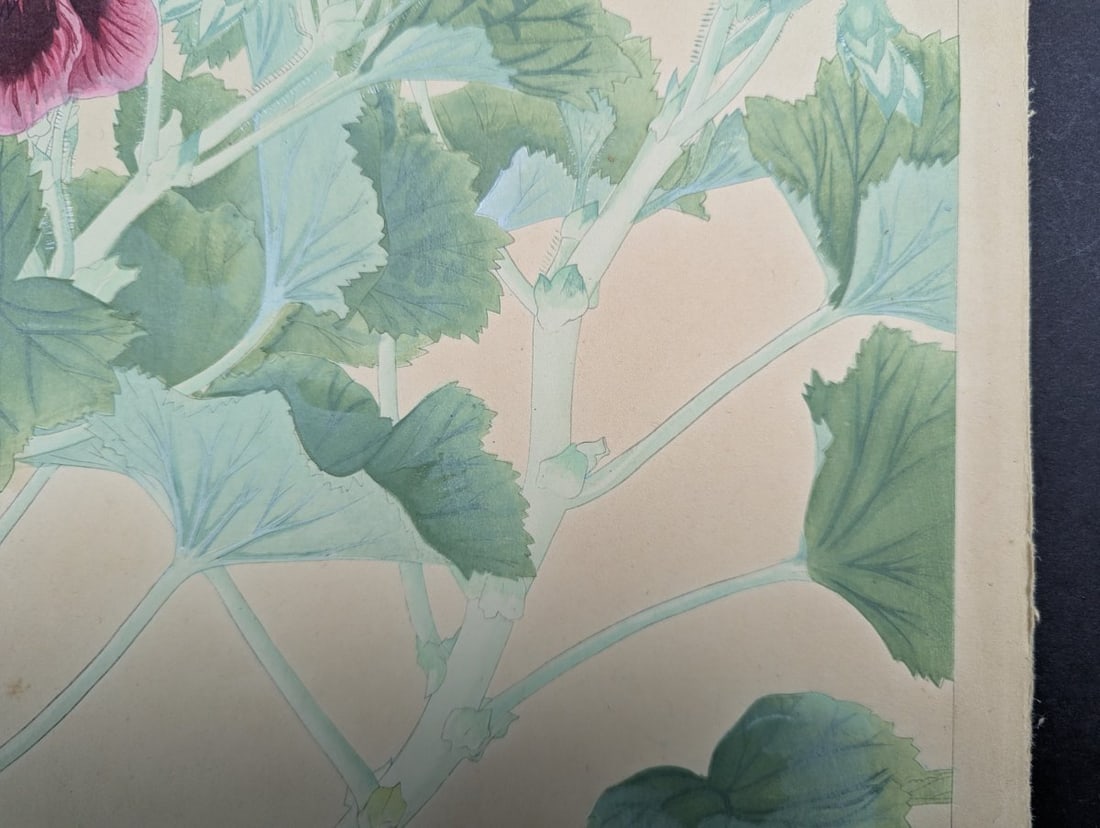 Japanese Woodblock Print 'Pelargonium' by Tsuchiya Rakuzan - 9
