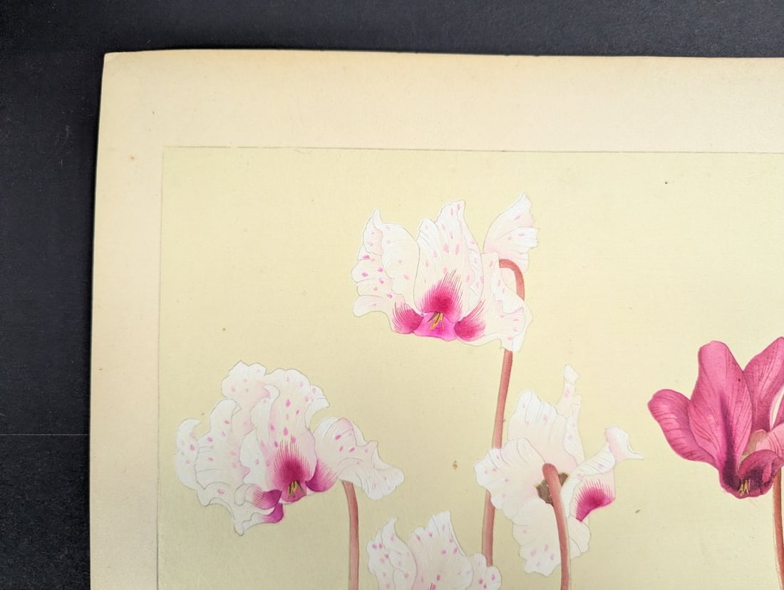 Japanese Woodblock Print by Rakuzan KachÅ 'Cyclamen' from Rakuzan Flower Print Series - 2