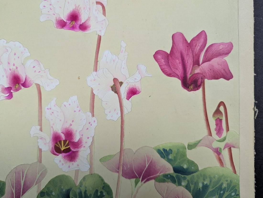 Japanese Woodblock Print by Rakuzan KachÅ 'Cyclamen' from Rakuzan Flower Print Series - 3