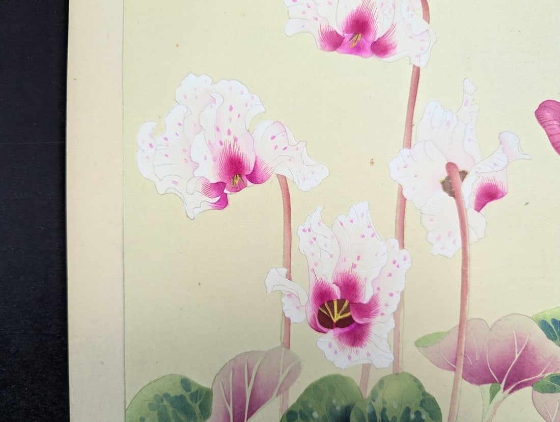 Japanese Woodblock Print by Rakuzan KachÅ 'Cyclamen' from Rakuzan Flower Print Series - 5