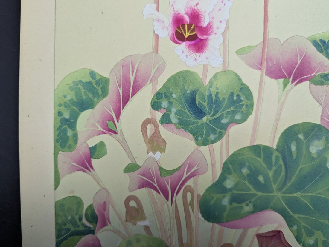 Japanese Woodblock Print by Rakuzan KachÅ 'Cyclamen' from Rakuzan Flower Print Series - 6