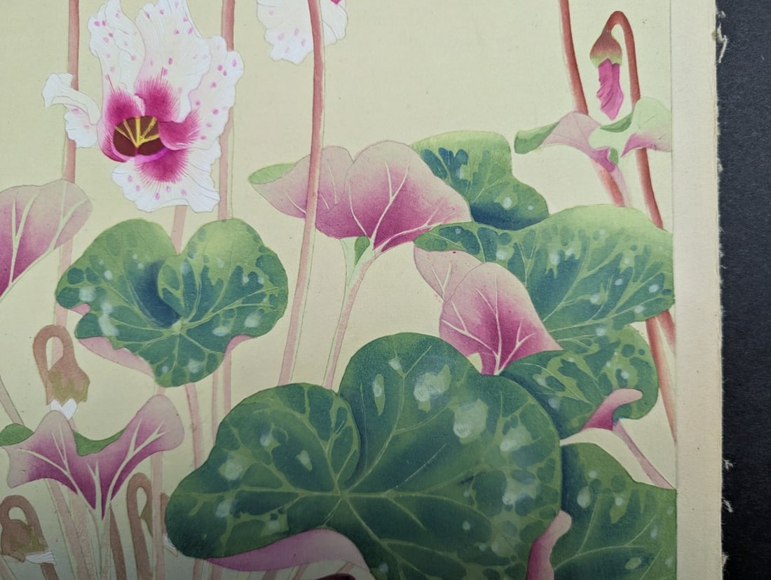 Japanese Woodblock Print by Rakuzan KachÅ 'Cyclamen' from Rakuzan Flower Print Series - 7