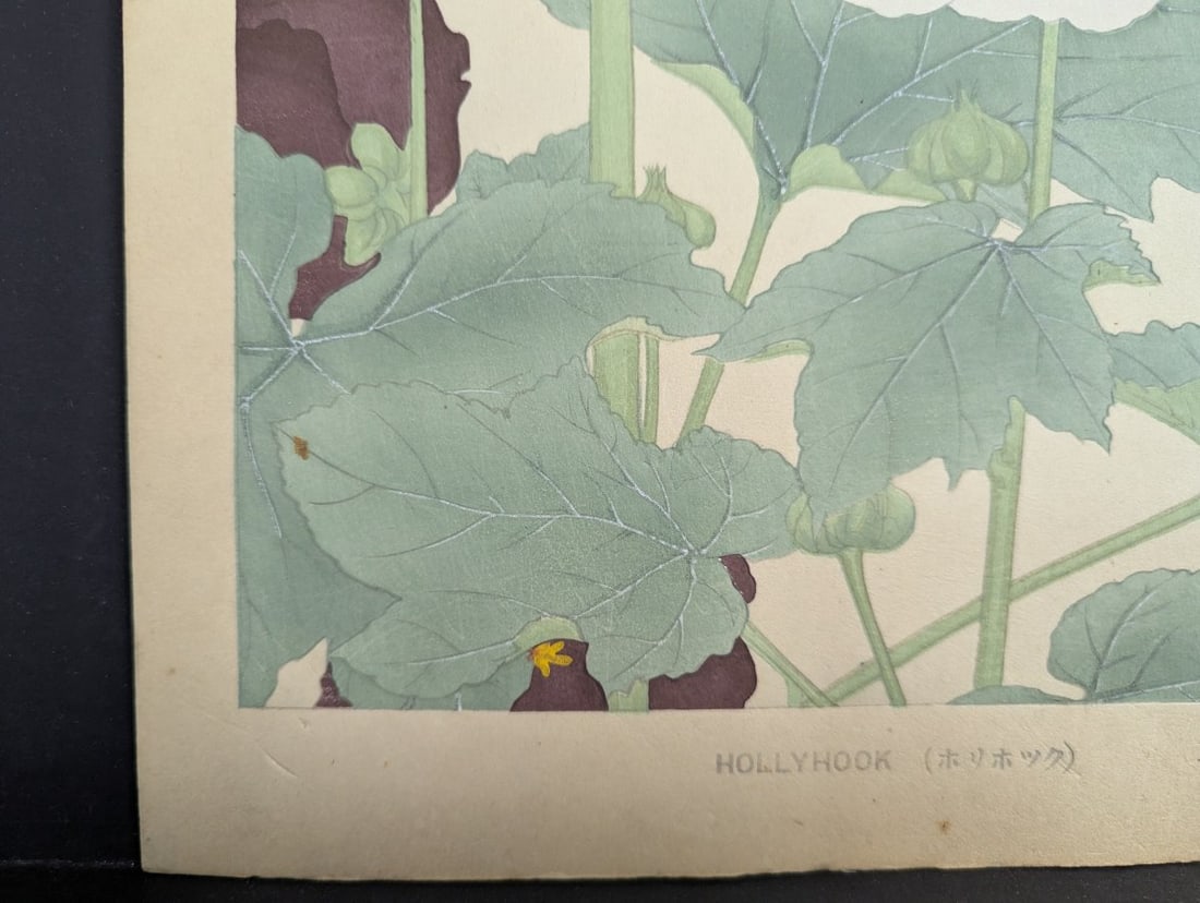 Hollyhock Japanese Woodblock Print by Rakuzan Tsuchiya - Shin-Hanga Flower Art - 10