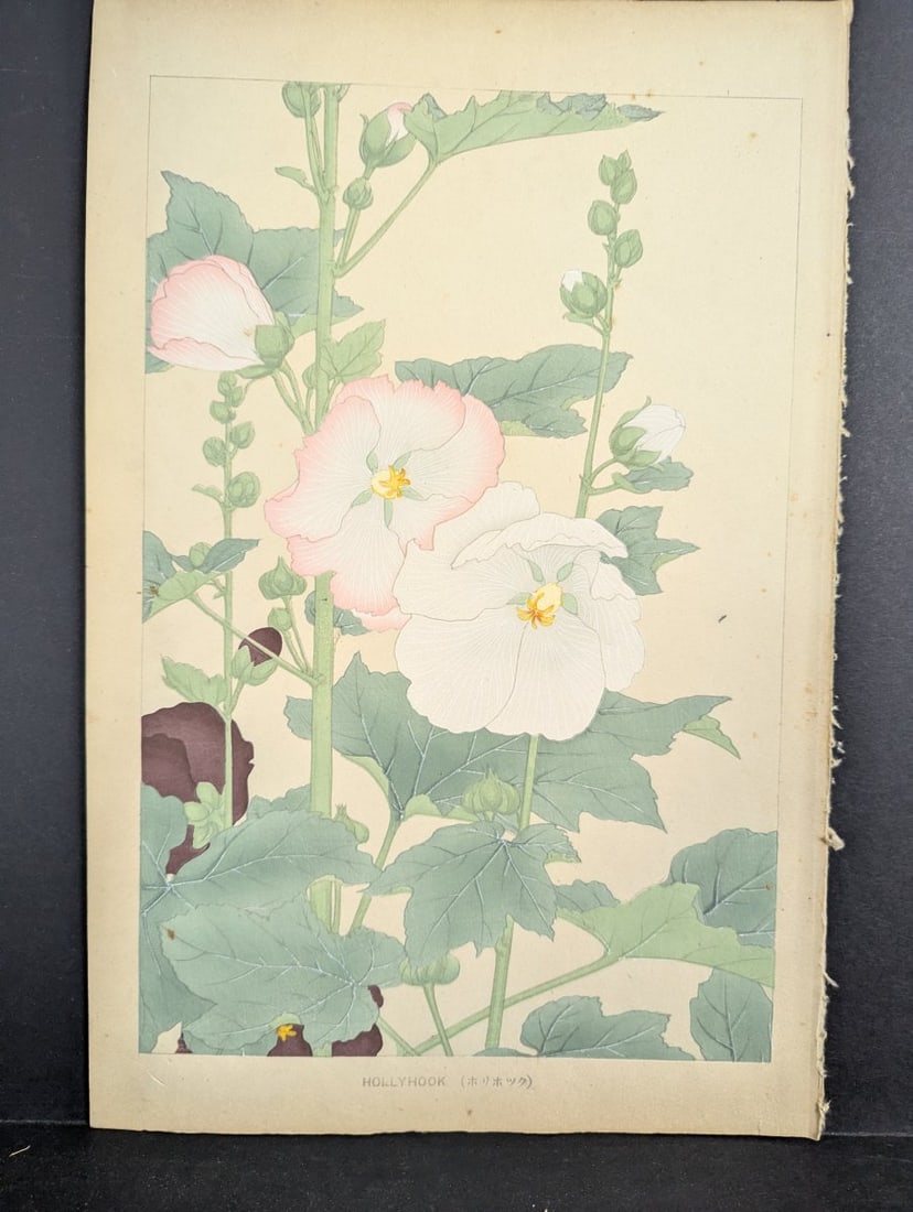 Hollyhock Japanese Woodblock Print by Rakuzan Tsuchiya - Shin-Hanga Flower Art: **Important** Please read below description on how to avoid high shipping costs. This stunning 'Hollyhock' Japanese Woodblock Print (ãƒ›ãƒªãƒ›ãƒ